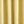 Gold/Ivory