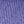 Aster Purple