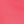 Bright Coral