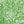Green Apple