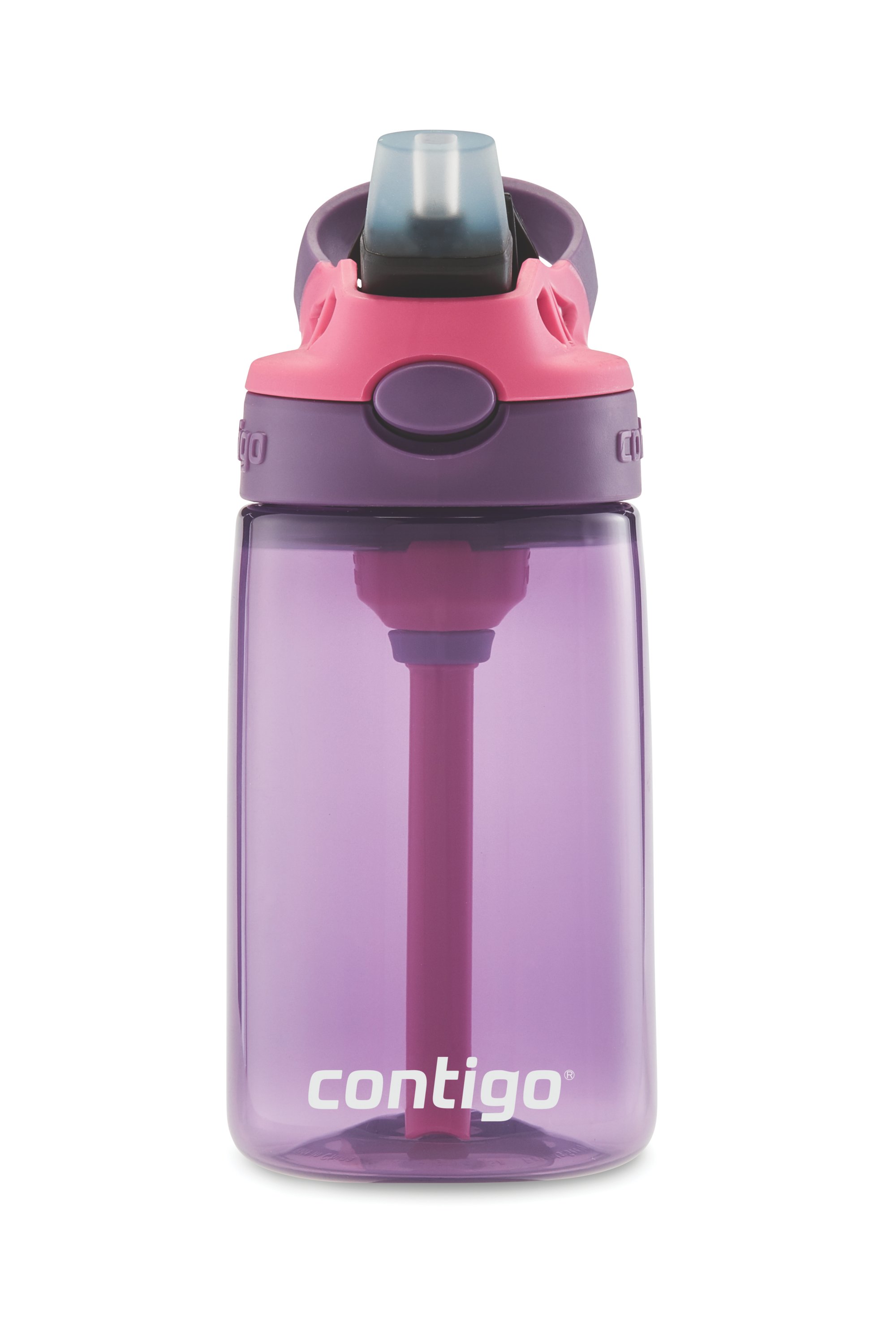Contigo 14oz Kids' Water Bottle with Redesigned AutoSpout Straw Blueberry  Cool Lime with Dogs Doing Things