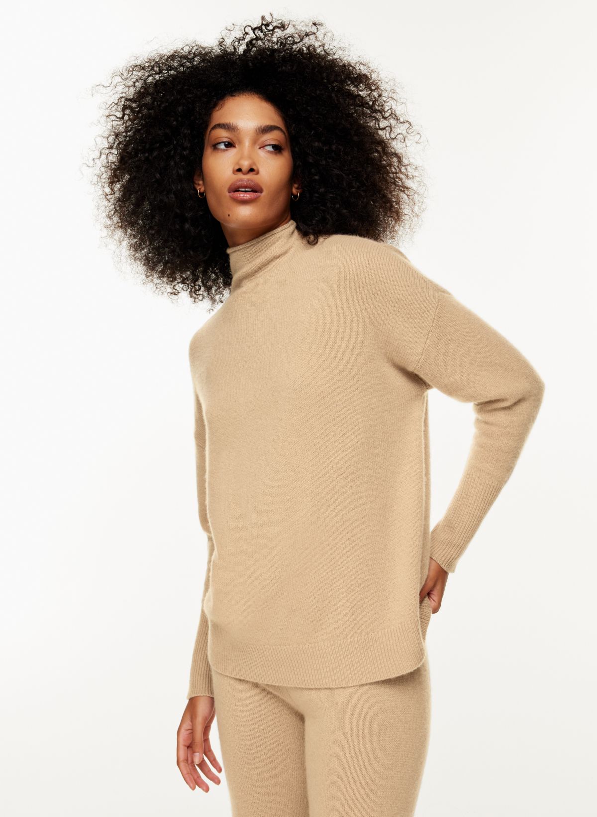 The Group by Babaton FORMAT LUXE CASHMERE TURTLENECK | Aritzia CA