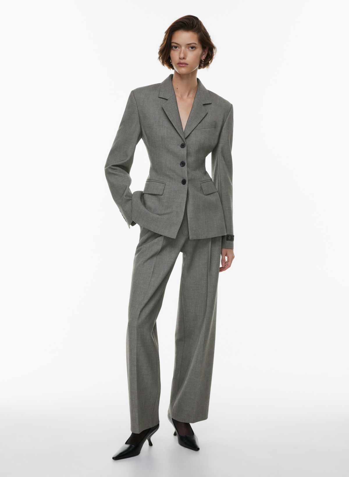 Babaton STANDOUT BLAZER | Aritzia CA