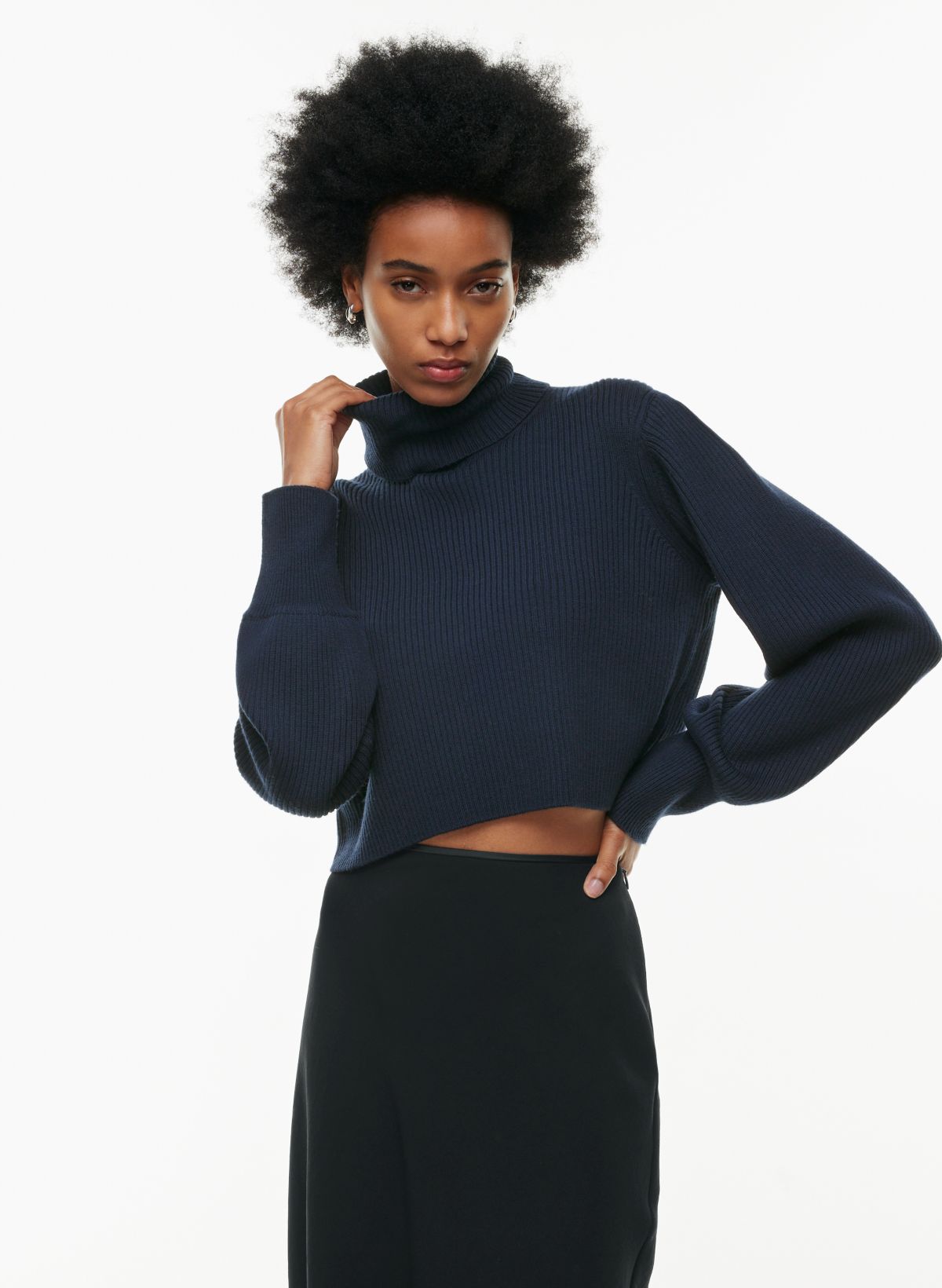 Wilfred REBECCA TURTLENECK | Aritzia CA