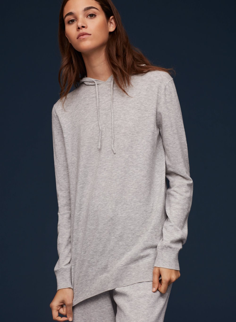 The Group by Babaton GINSBURG HOODIE | Aritzia