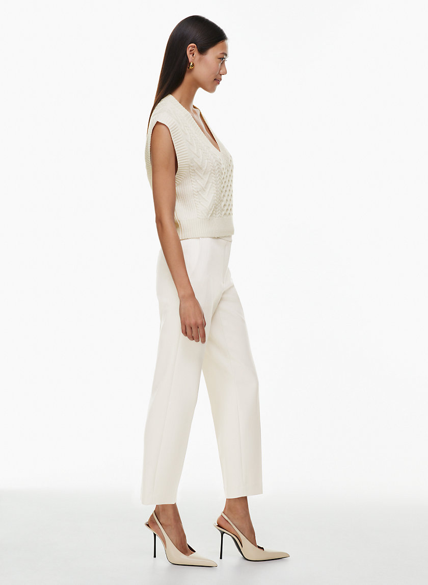 Babaton MINTER PANT | Aritzia CA