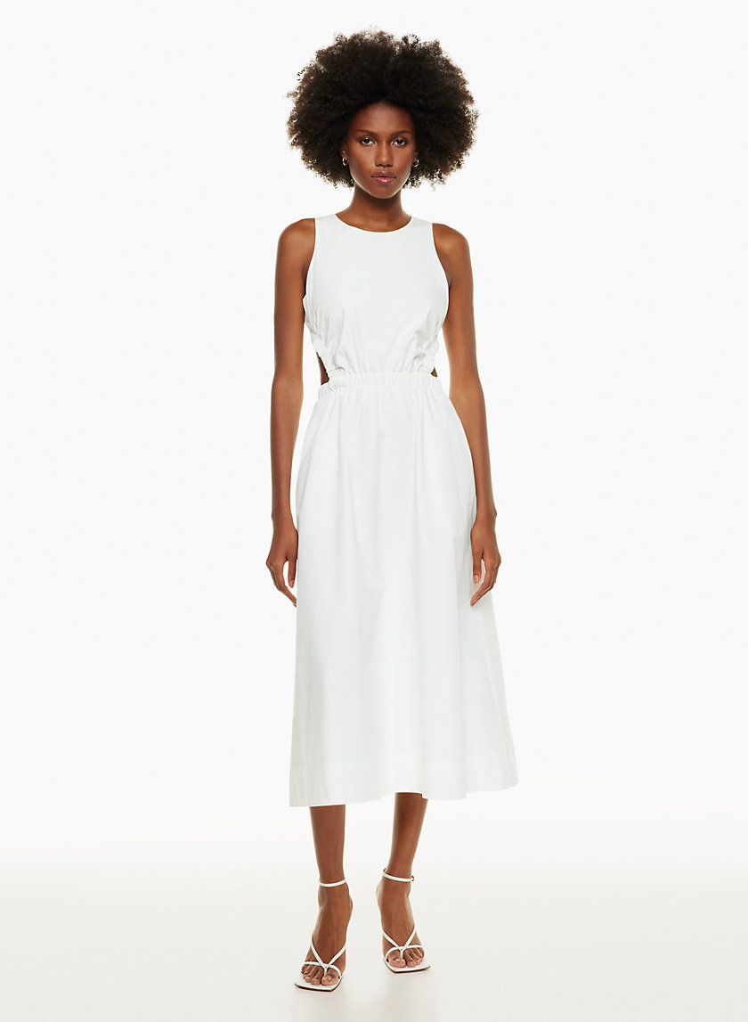 aritzia dresses