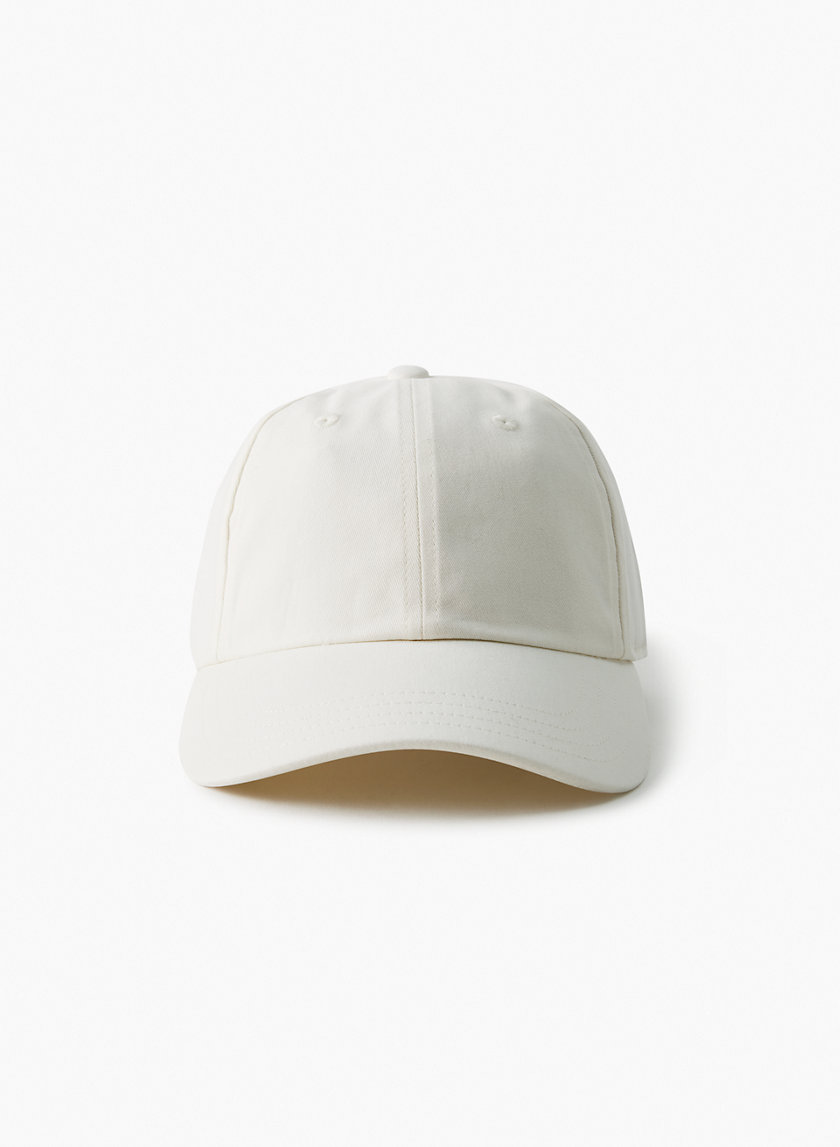 Tna Dad Baseball Cap in Pastel Sage Green