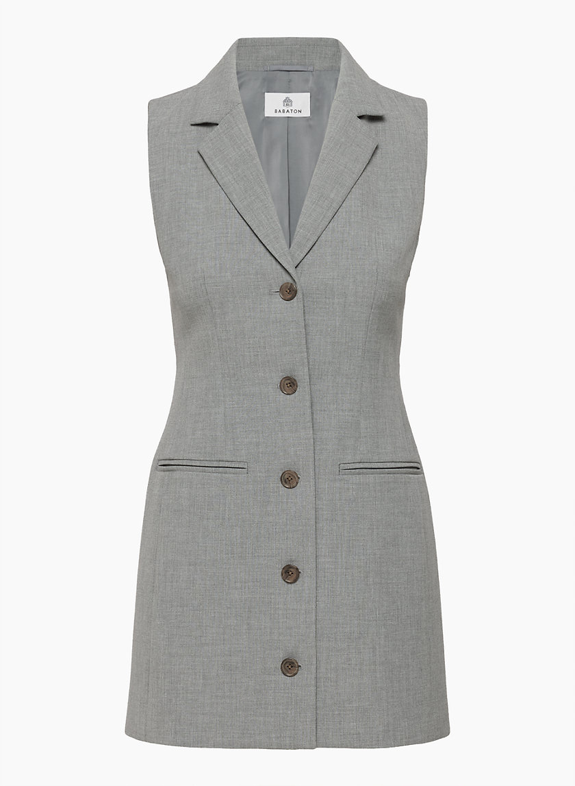 Babaton MASTERMIND DRESS | Aritzia US