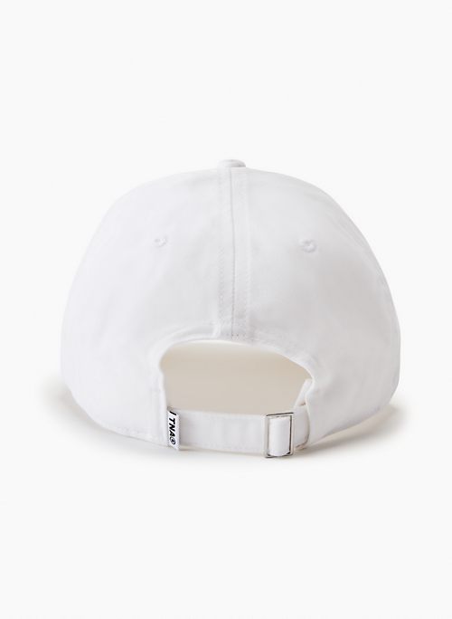 Tna Dad Baseball Cap in Pastel Sage Green