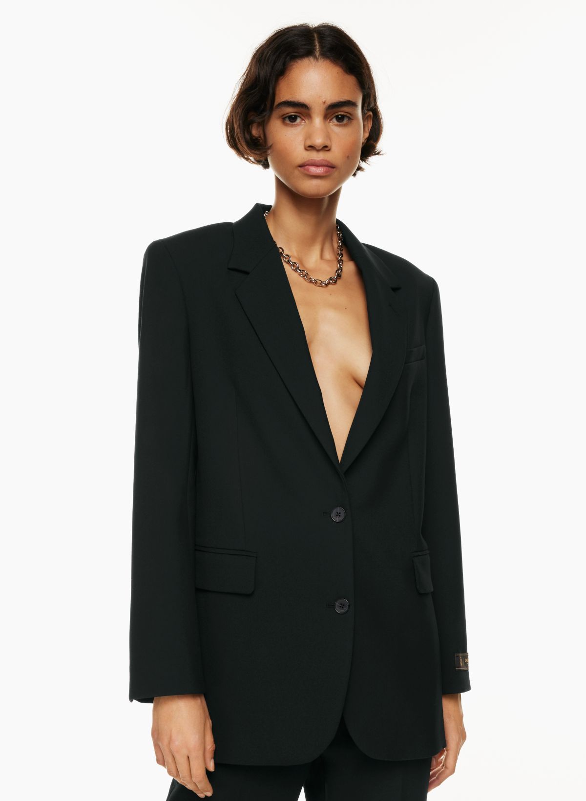 Babaton AGENCY BLAZER | Aritzia CA