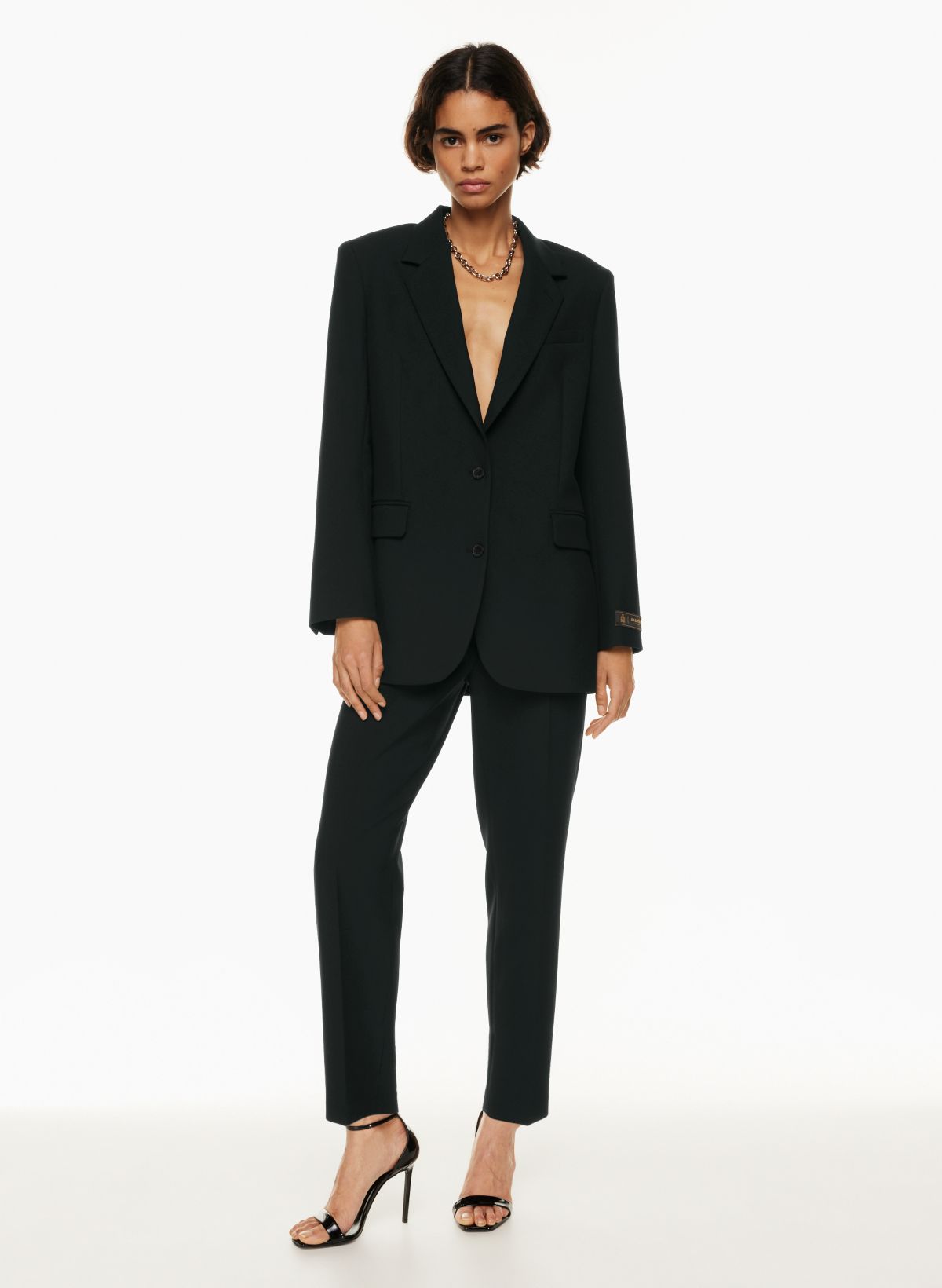 Babaton AGENCY BLAZER | Aritzia CA