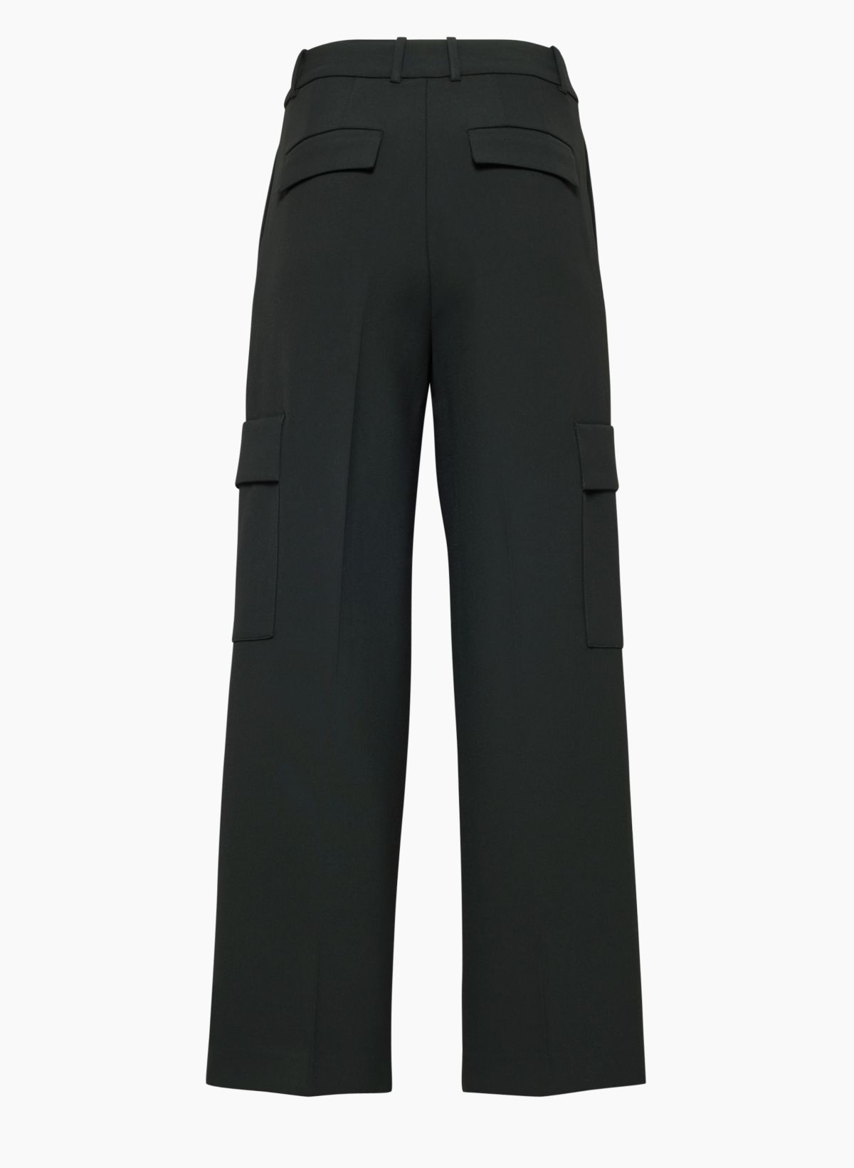 Babaton SPOTLIGHT CARGO PANT | Aritzia US