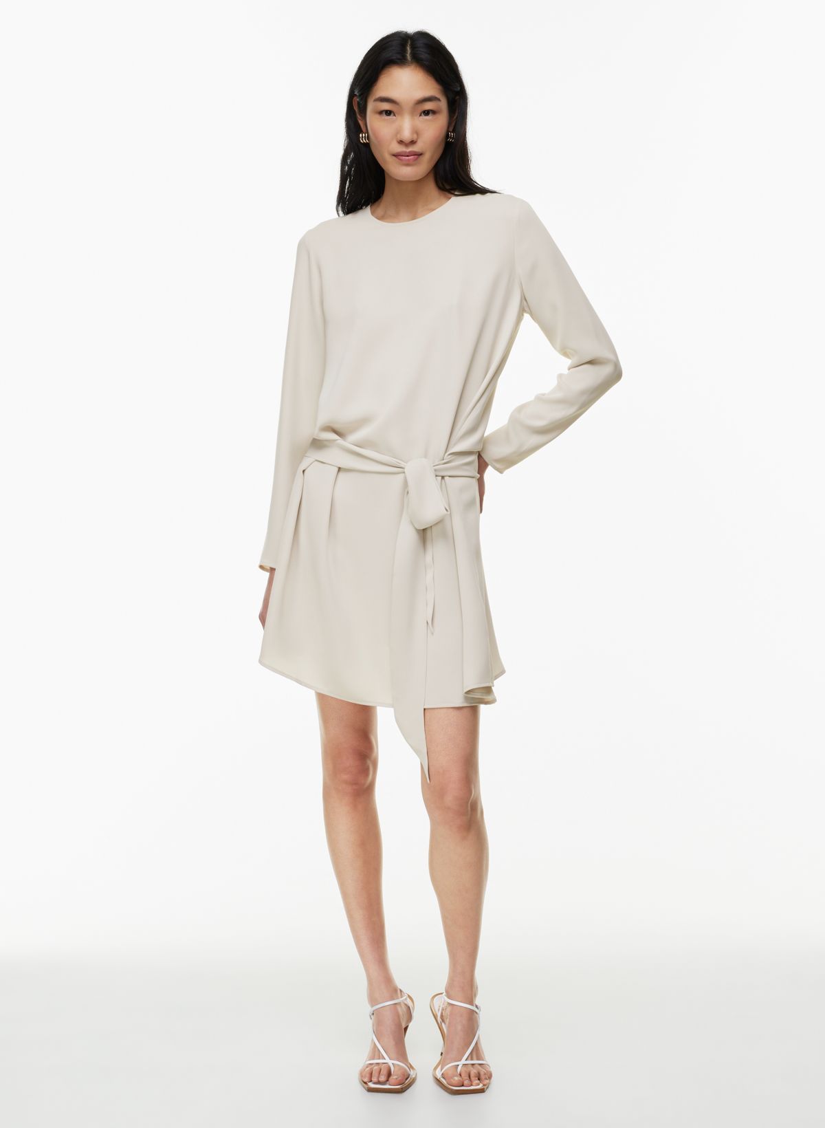 Babaton NOBLE DRESS | Aritzia US