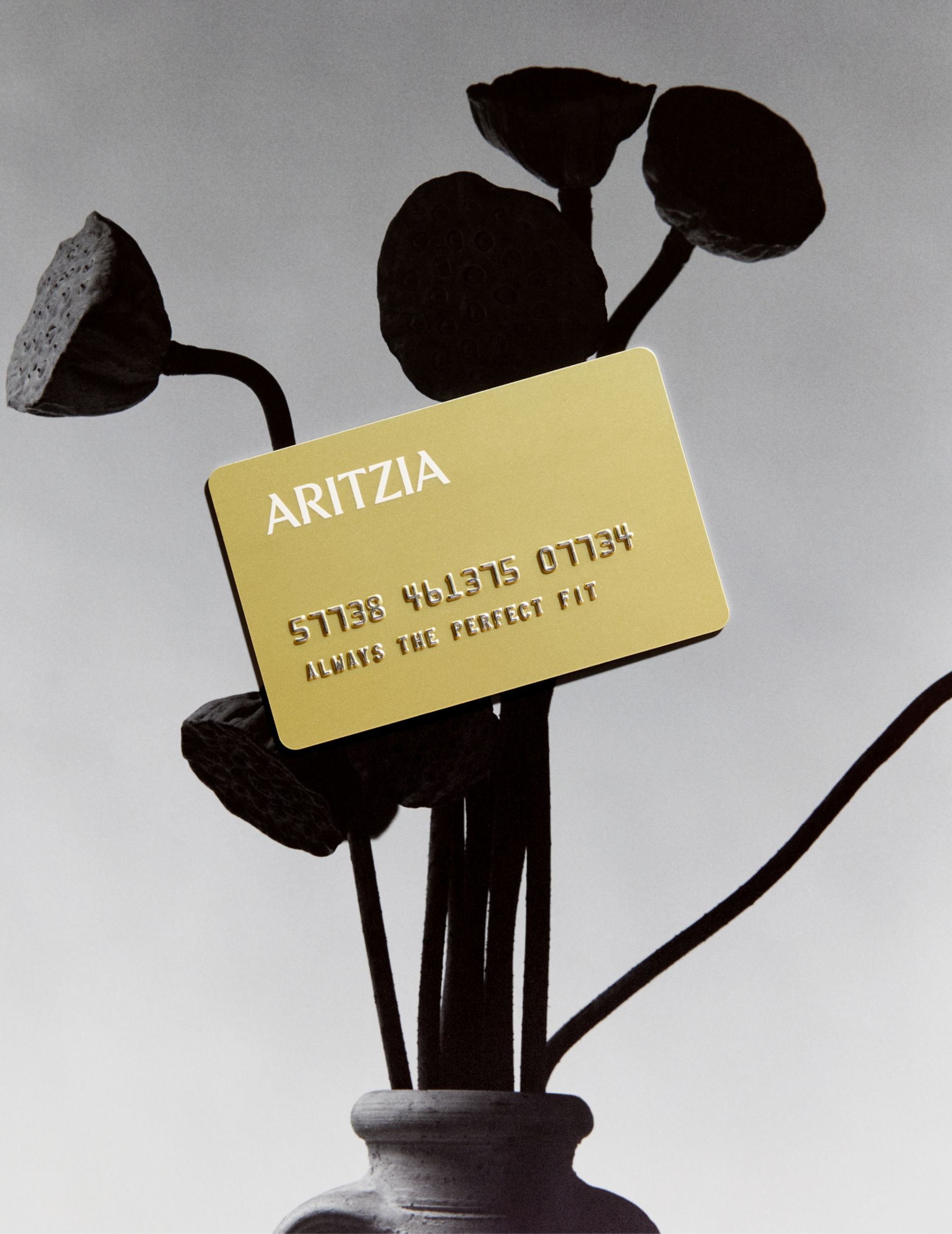 online gift card aritzia