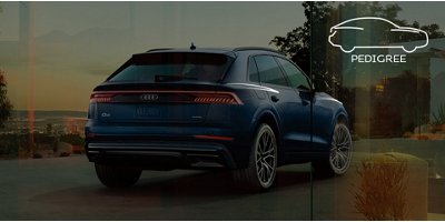 2019 Audi Q8 Suv Quattro Price Specs Audi Usa