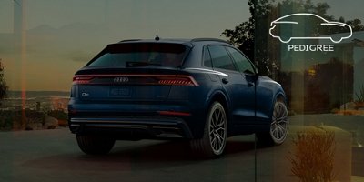 2020 Audi Q8 Luxury Suv Audi Usa
