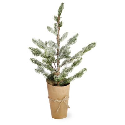 Boston International 21-Inch Large Potted Artificial Cypress Tree in ...