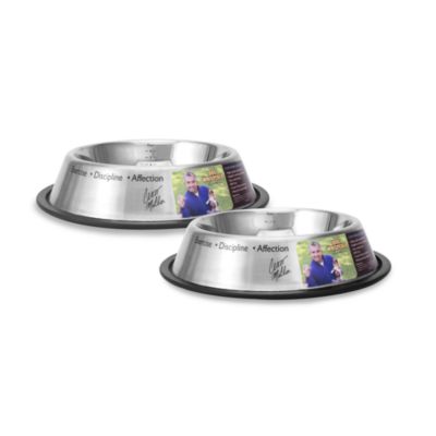 Cesar Millan Dog Whisperer™ Pet Bowls - Bed Bath & Beyond