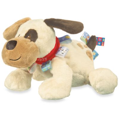 taggies dog