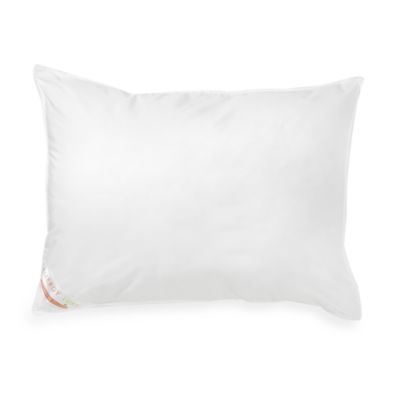 allergy luxe pillow