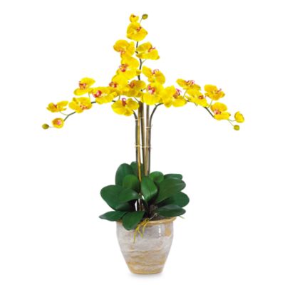 Nearly Natural Triple Phalaenopsis Orchid Silk Flower Arrangement in Gold Bed Bath \u0026 Beyond Nearly Natural Triple Phalaenopsis Orchid Silk Flower Arrangement in Gold Bed Bath \u0026 Beyond
