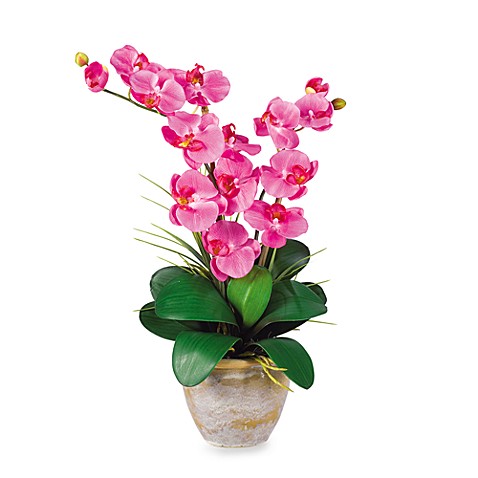 Nearly Natural Double Phalaenopsis Orchid Silk Flower Arrangement Dark Pink  Bed Bath \u0026 Beyond