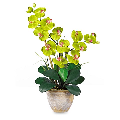 Nearly Natural Double Phalaenopsis Orchid Silk Flower Arrangement Green  Bed Bath \u0026 Beyond