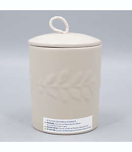Vela en vaso de cerámica Bee & Willow™ Home Spring Fig™ de 340.19 g