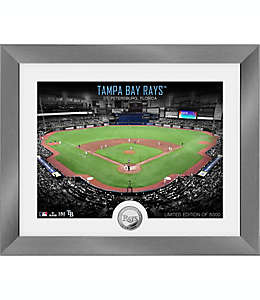 Cuadro decorativo de Tampa Bay Rays MLB® multicolor