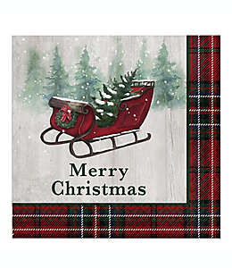 Servilletas de papel Bee & Willow™ “Merry Christmas” multicolor, 20 piezas