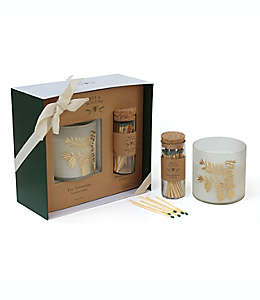 Set de vela en vaso de vidrio Bee & Willow™ aroma Tree Trimmings, 2 piezas