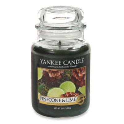 Yankee Candle® Pinecone & Lime Scented Candles - Bed Bath & Beyond