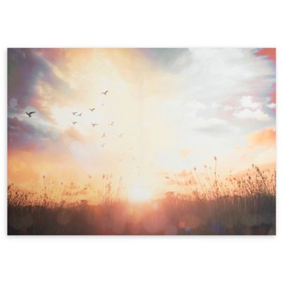  Graham & Brown Serene Meadow Sunset 28-Inch x 40-Inch Canvas 5011583380200