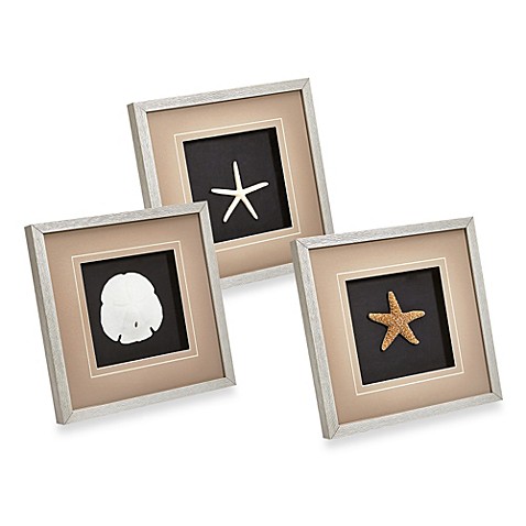 Coastal Shadowbox Wall Art Bed Bath Beyond Coastal Shadowbox Wall Art Bed Bath Beyond