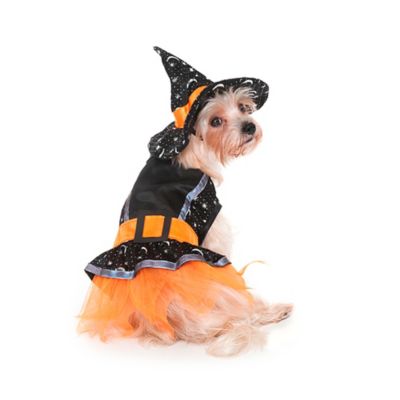 Witch Dog Costume in Black/Orange - Bed Bath & Beyond