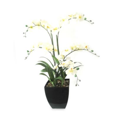 36-Inch Decorative Orchid in Pot - Bed Bath & Beyond