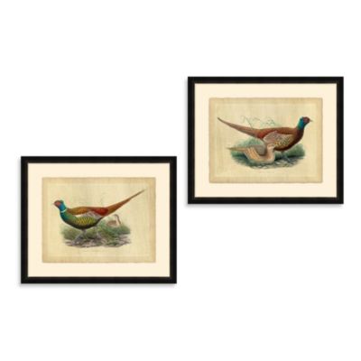 Pheasant Framed Art - Bed Bath & Beyond