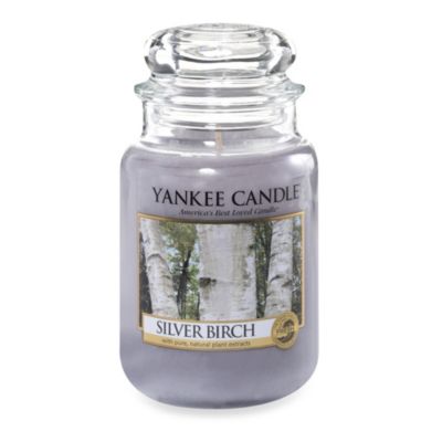 Yankee Candle® Silver Birch Scented Candles - Bed Bath & Beyond
