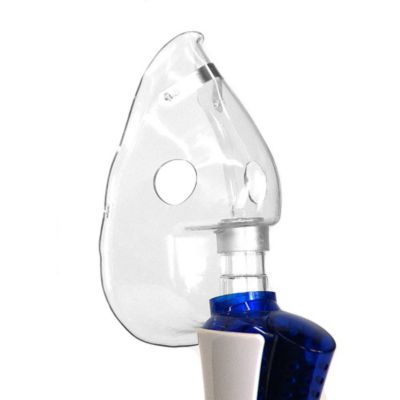 Portable steam humidifier