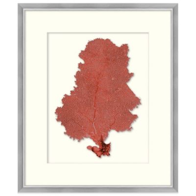 Buy Coral Wall Decor from Bed Bath Beyond Buy Coral Wall Decor from Bed Bath Beyond