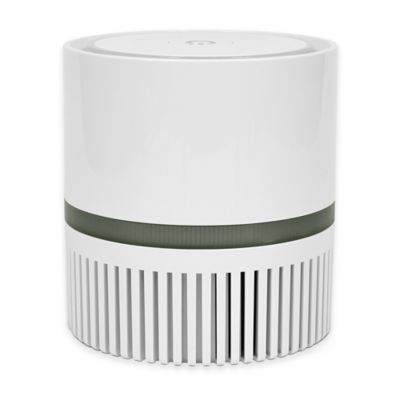 Outdoor air purifier