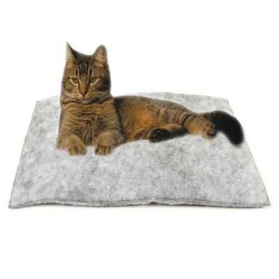 Mysterious Purr Padd® Cat Cushion in Charcoal (Set of 2) - Bed Bath ...