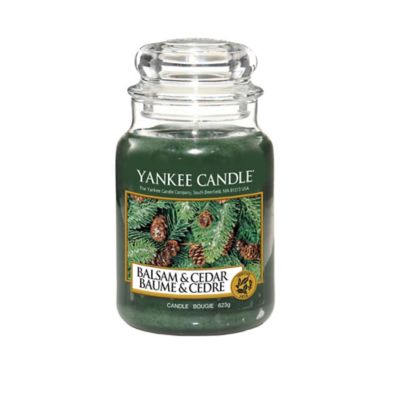 Yankee Candle® Balsam & Cedar Scented Candles - Bed Bath & Beyond