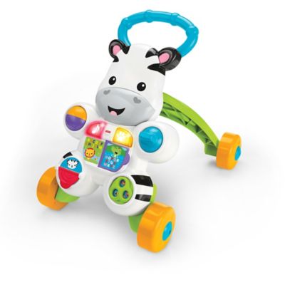 zebra push walker