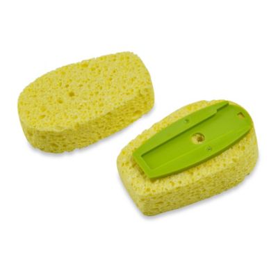 refills suds sponge dispensing soap dish circle bedbathandbeyond