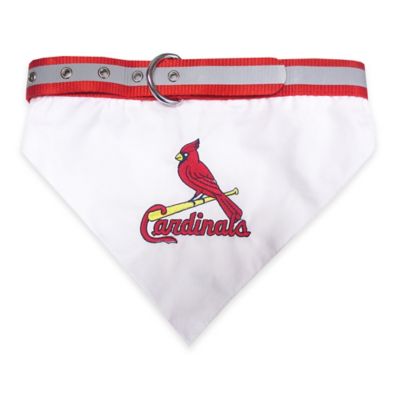 MLB St. Louis Cardinals Dog Collar Bandana - Bed Bath & Beyond