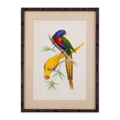 Bassett Mirror Company Lemaire Parrots IV Framed Wall Art - Bed Bath ...