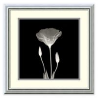 Buy Poppy Wall Art from Bed Bath & Beyond