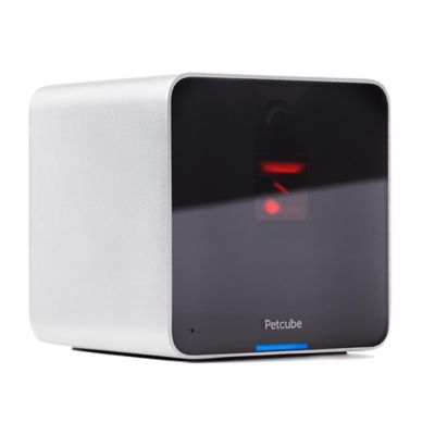 Petcube Interactive Wi-Fi Pet Camera in Silver/Black